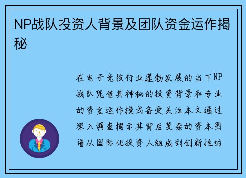 NP战队投资人背景及团队资金运作揭秘