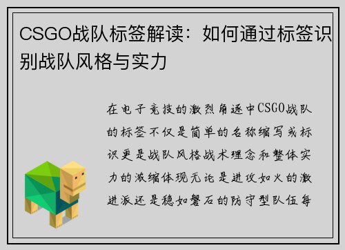 CSGO战队标签解读：如何通过标签识别战队风格与实力
